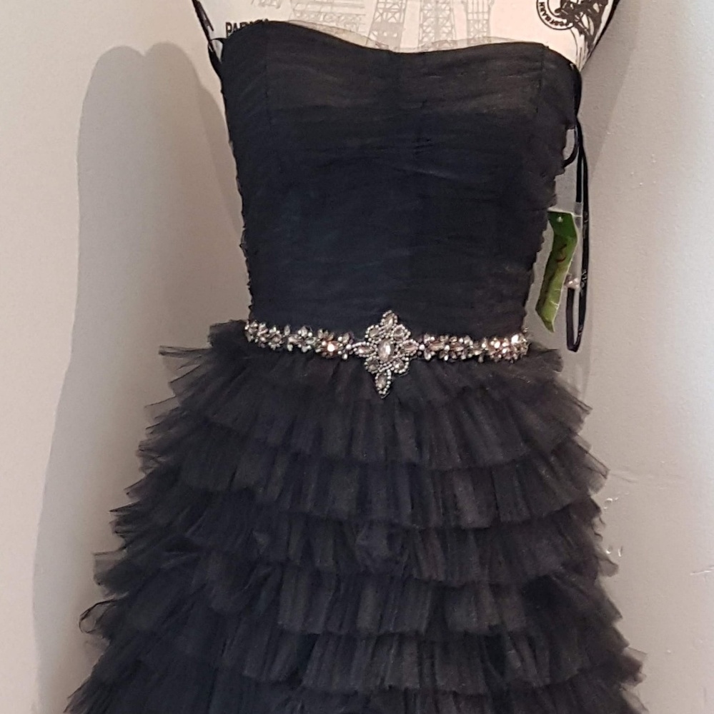 Strapless Mesh dress